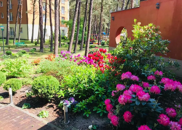 Millennium Health & 3* Międzywodzie